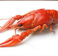 吃小龙虾导致食物中毒！横纹肌溶解症是个什么病？